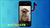 3 Ways to Download TikTok Videos Without Watermark on Android and iPhone